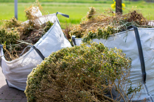 Best Trash Removal Near Me  in Scotia, NY