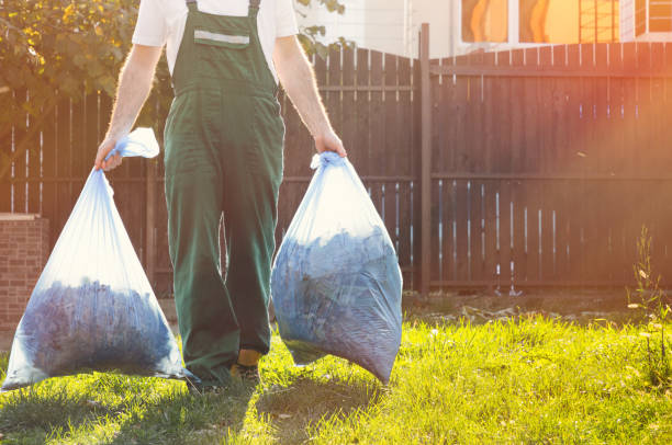 Yard Cleanup Services in Scotia, NY
